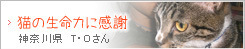 猫の生命力に感謝
